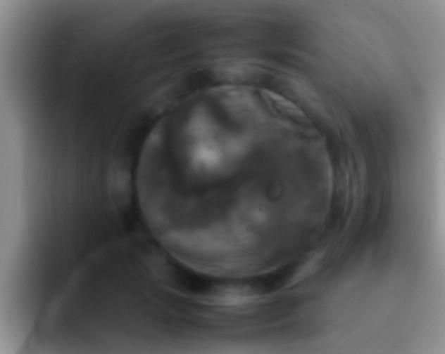 X0000092090749200709262123