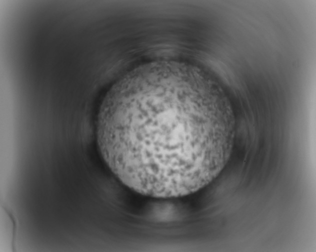 X0000092090751200709262123