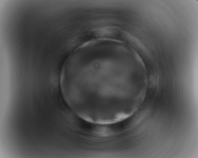 X0000092090753200709262123