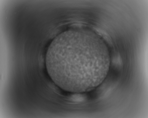 X0000092090759200709262123