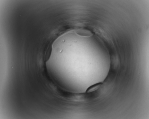 X0000092090760200709262123