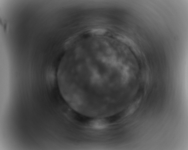 X0000092090761200709262123