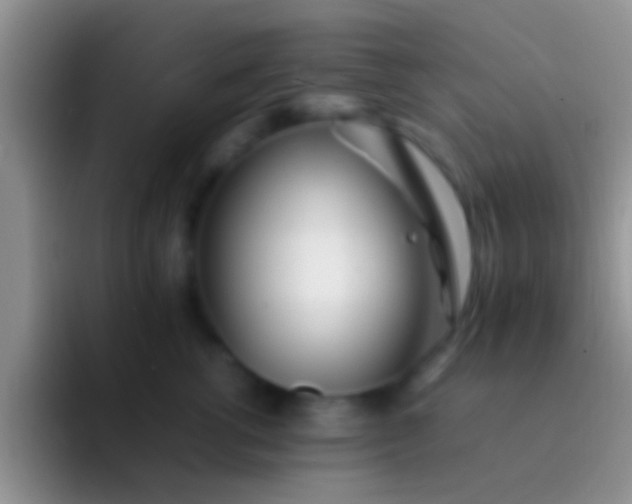 X0000092090762200709262123