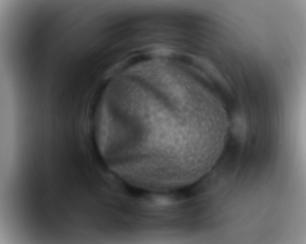 X0000092090763200709262123