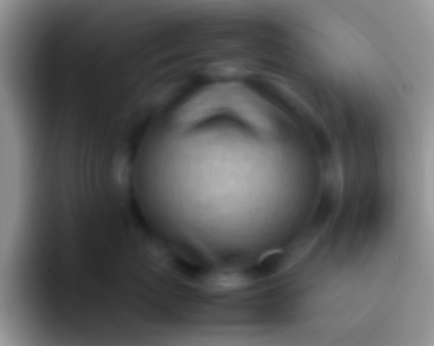 X0000092090767200709262123