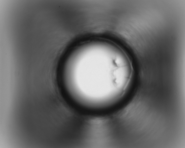 X0000092090769200709262122