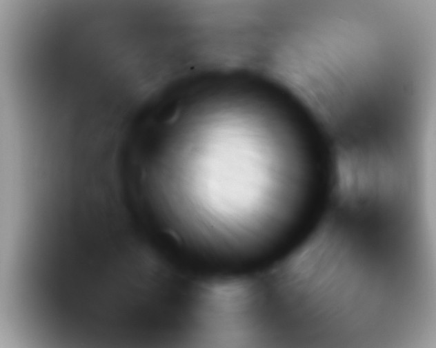 X0000092090770200709262122