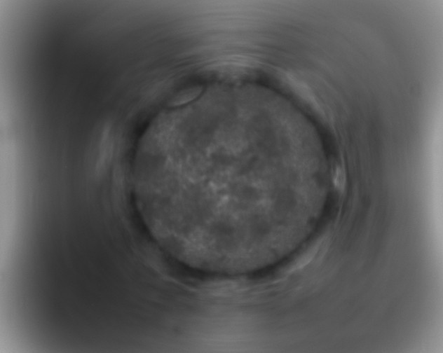 X0000092090771200709262122