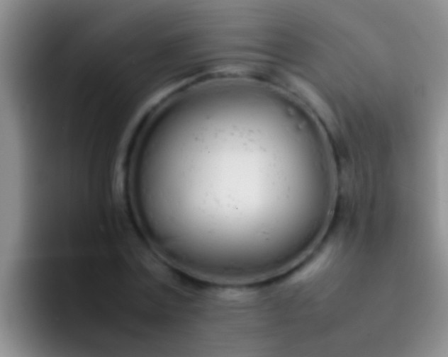 X0000092090779200709262122