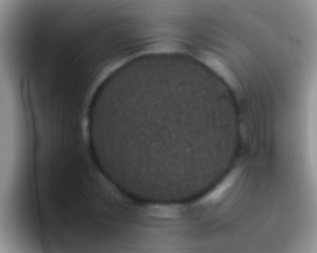 X0000092090781200709262122