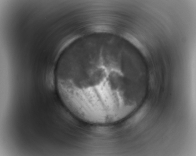X0000092090782200709262122