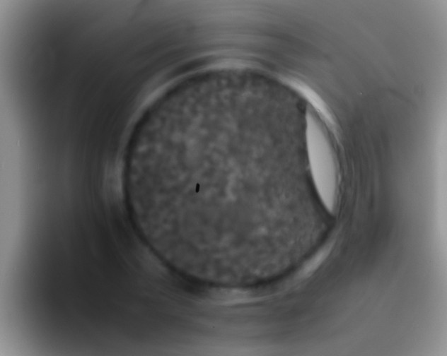 X0000092090783200709262122