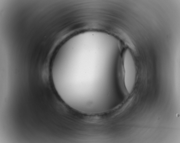 X0000092090784200709262122