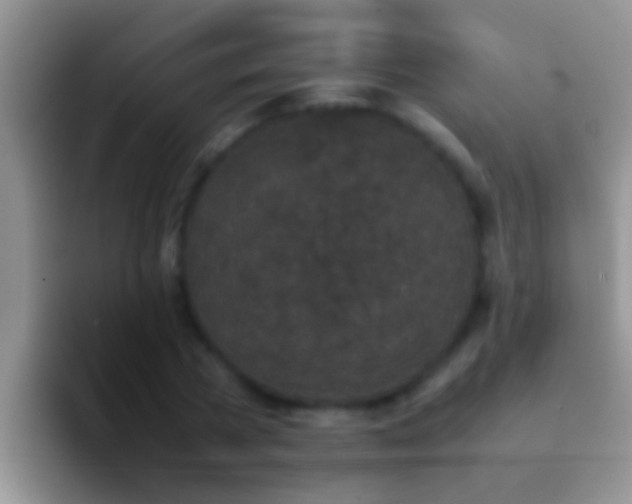X0000092090785200709262122