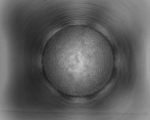 X0000092090786200709262122