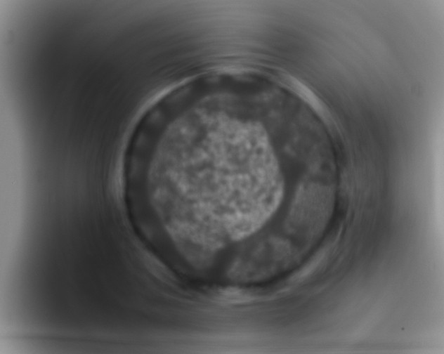 X0000092090787200709262122