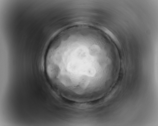 X0000092090791200709262122