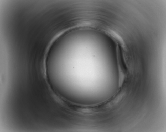 X0000092090792200709262122