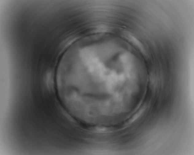 X0000092090794200709262122