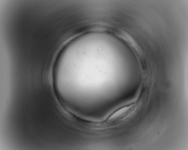 X0000092090795200709262122