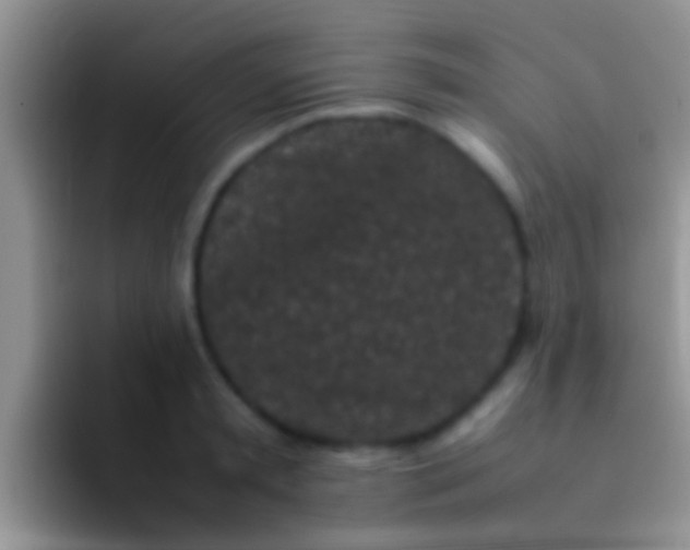 X0000092090797200709262122