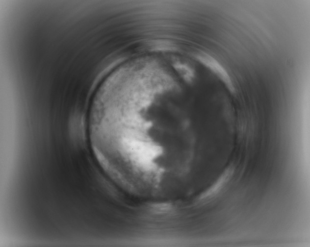 X0000092090798200709262122
