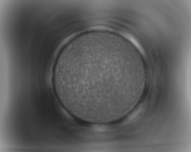 X0000092090799200709262122