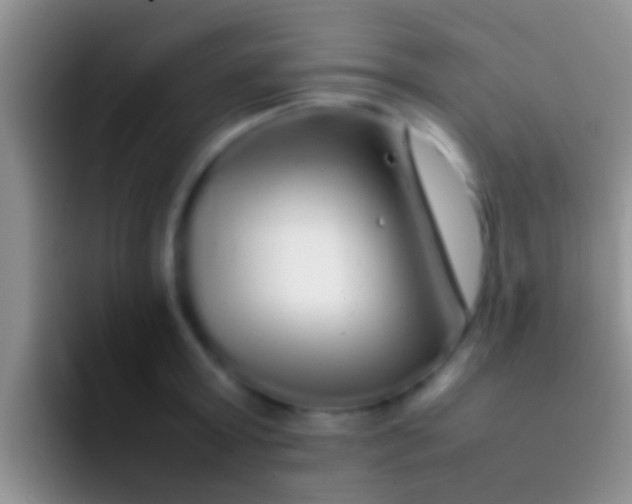 X0000092090803200709262122