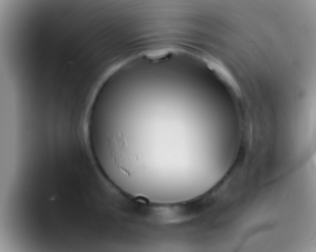 X0000092090805200709262122
