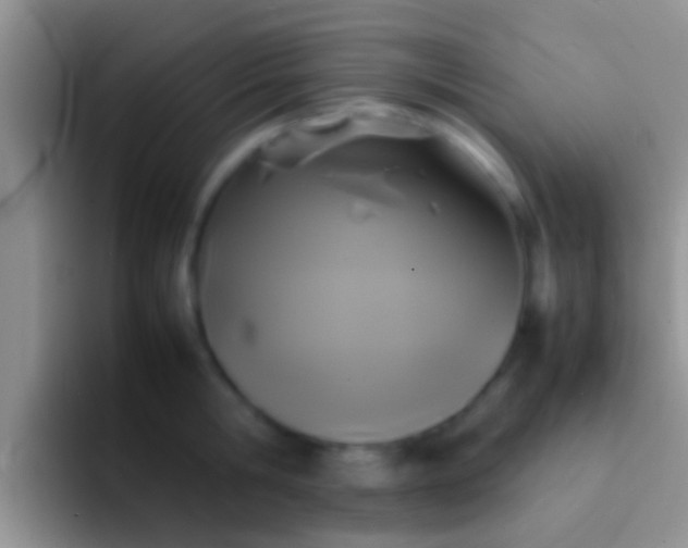 X0000092090806200709262122