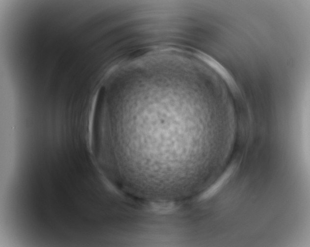 X0000092090809200709262122