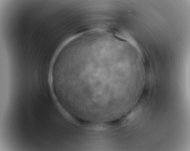 X0000092090811200709262122