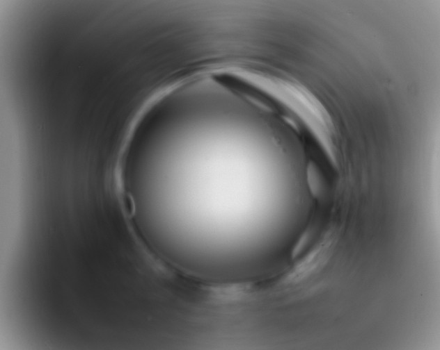 X0000092090813200709262122