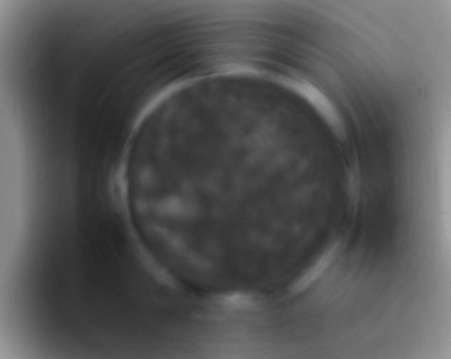 X0000092090814200709262122