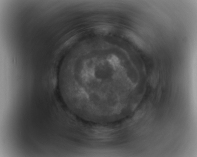 X0000092090821200709262121