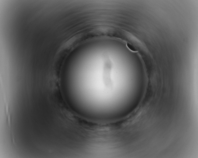 X0000092090822200709262121