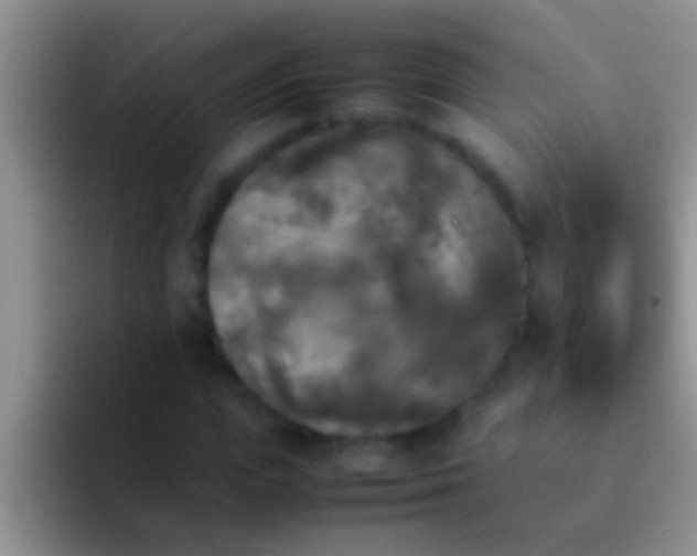 X0000092090823200709262121