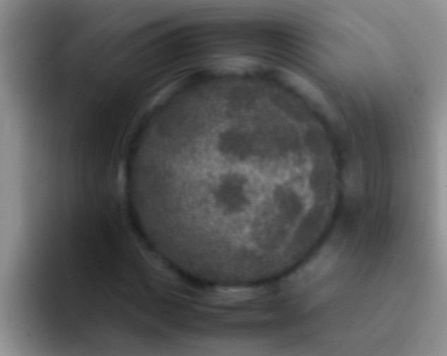 X0000092090825200709262121