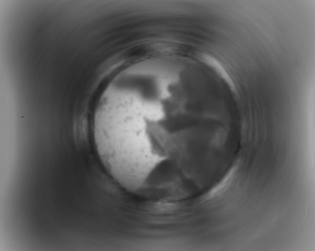 X0000092090827200709262121