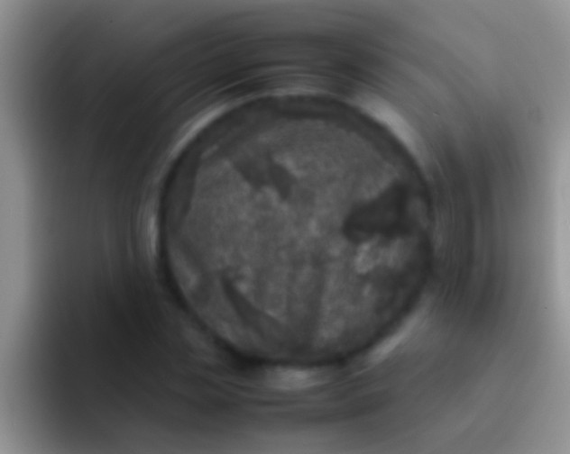 X0000092090829200709262121