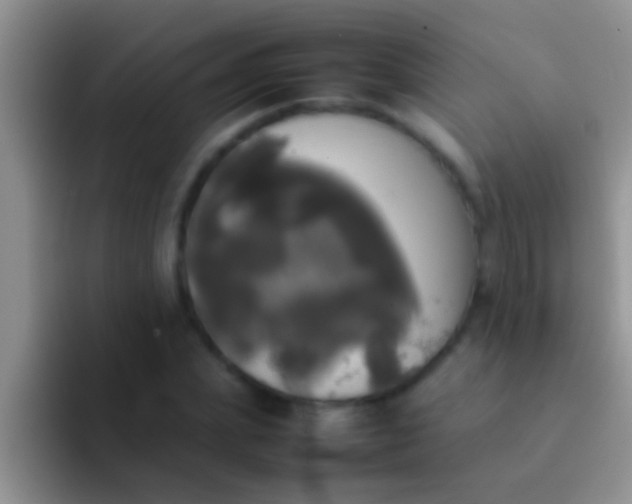 X0000092090831200709262121