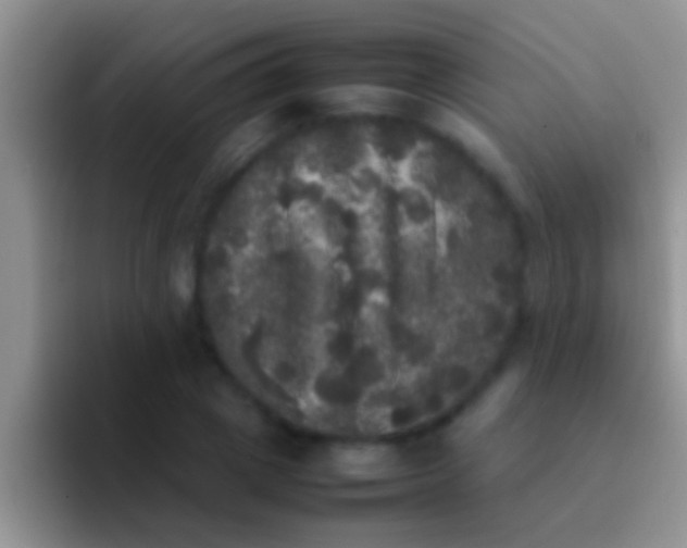 X0000092090833200709262121