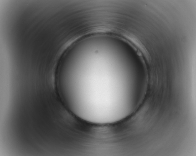 X0000092090834200709262121