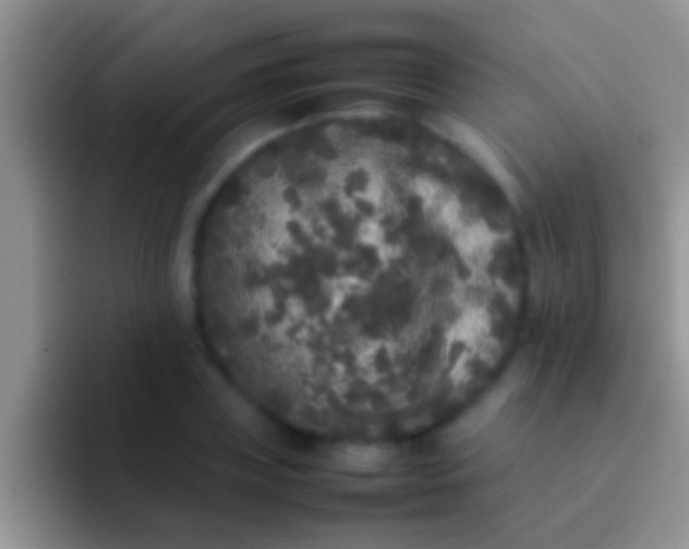 X0000092090835200709262121