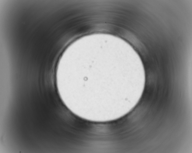X0000092090836200709262121