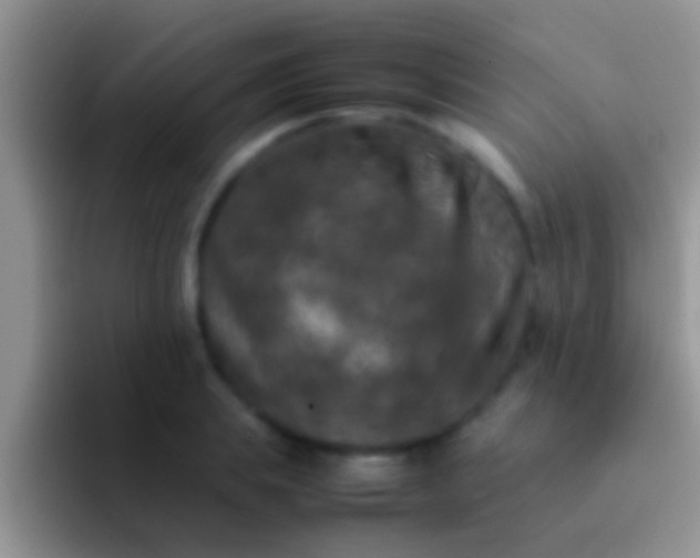 X0000092090839200709262121