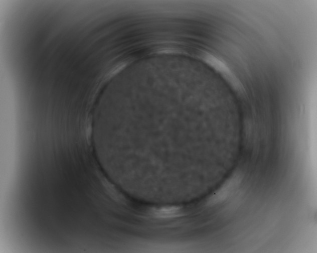 X0000092090841200709262121