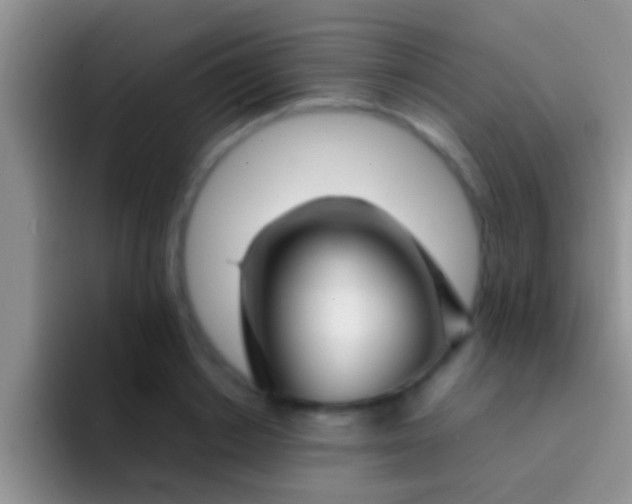 X0000092090842200709262121