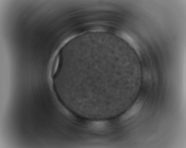 X0000092090843200709262122