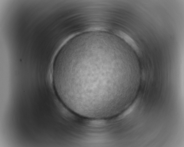 X0000092090844200709262122